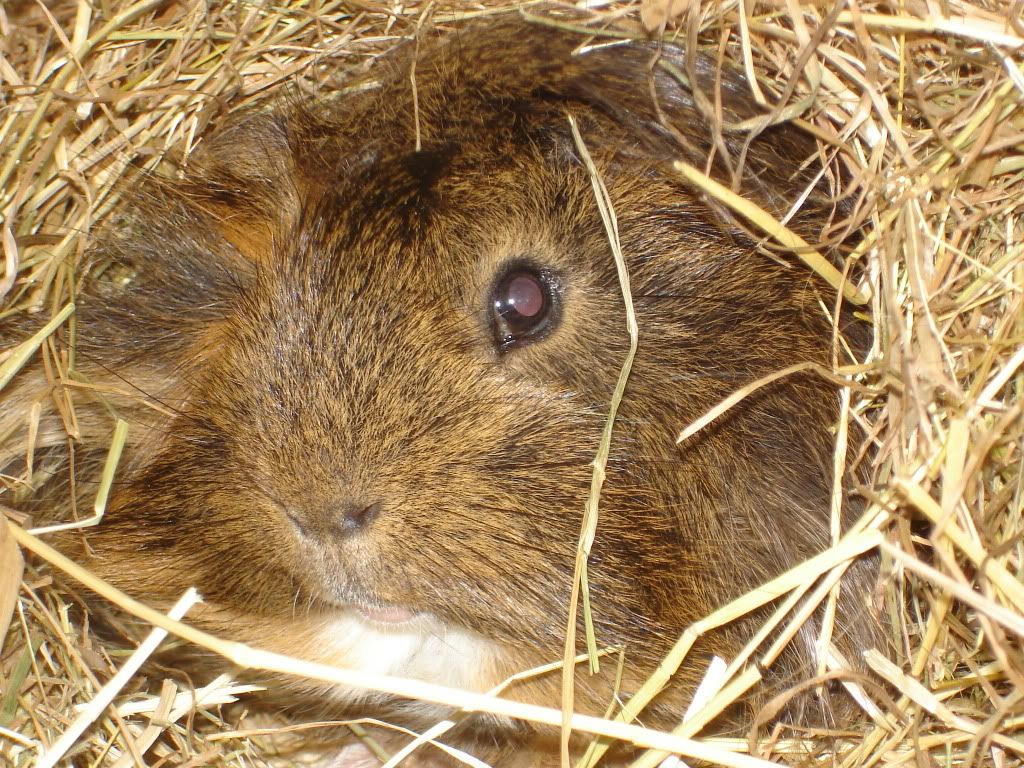 KarensPics2007053.jpg