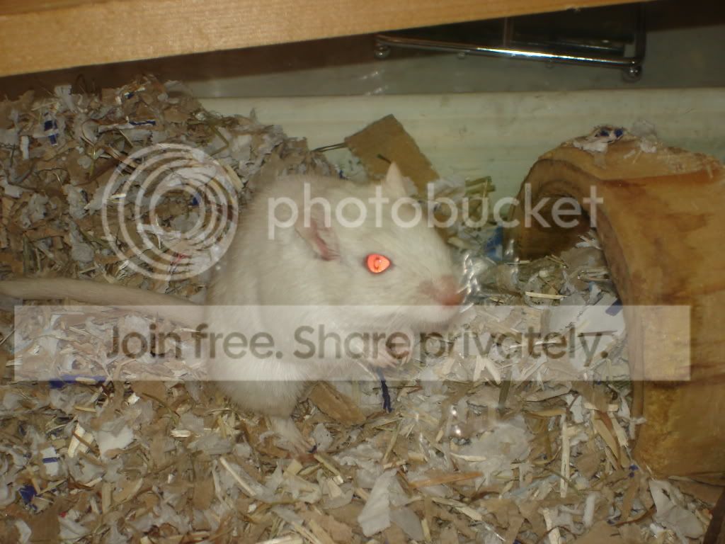 KarensPics2007287.jpg