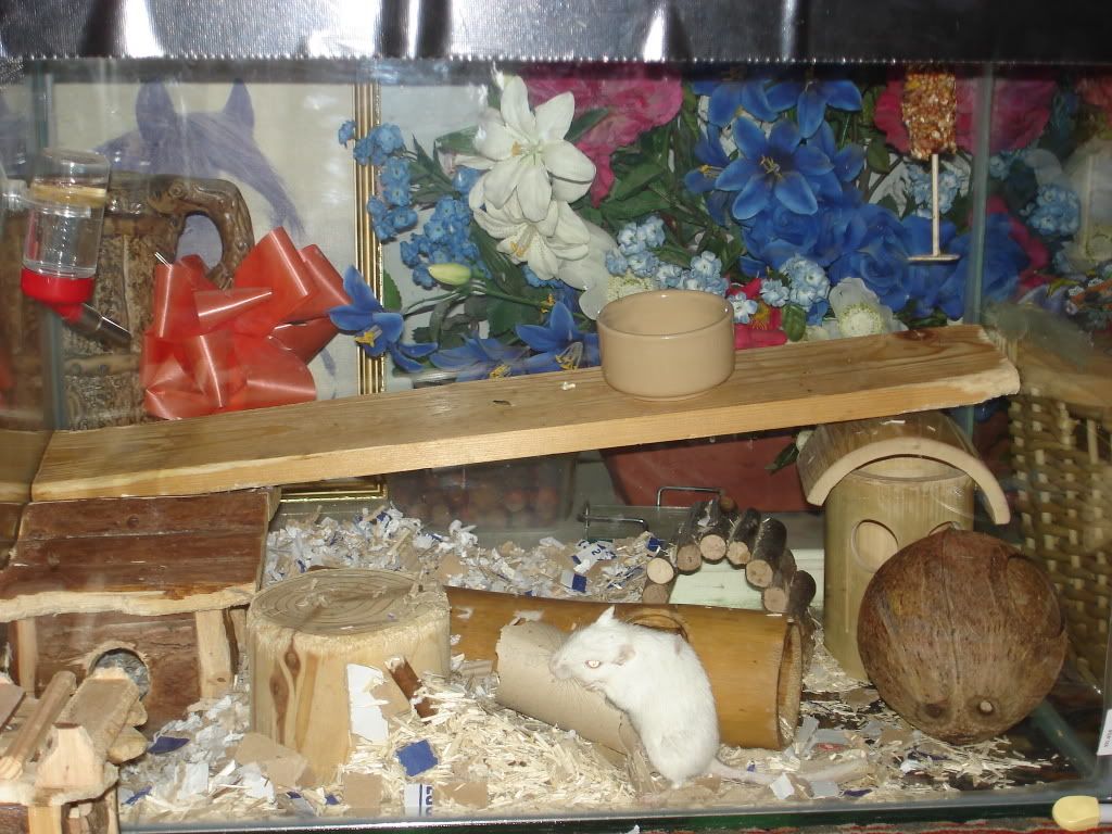 KarensPics2007311.jpg