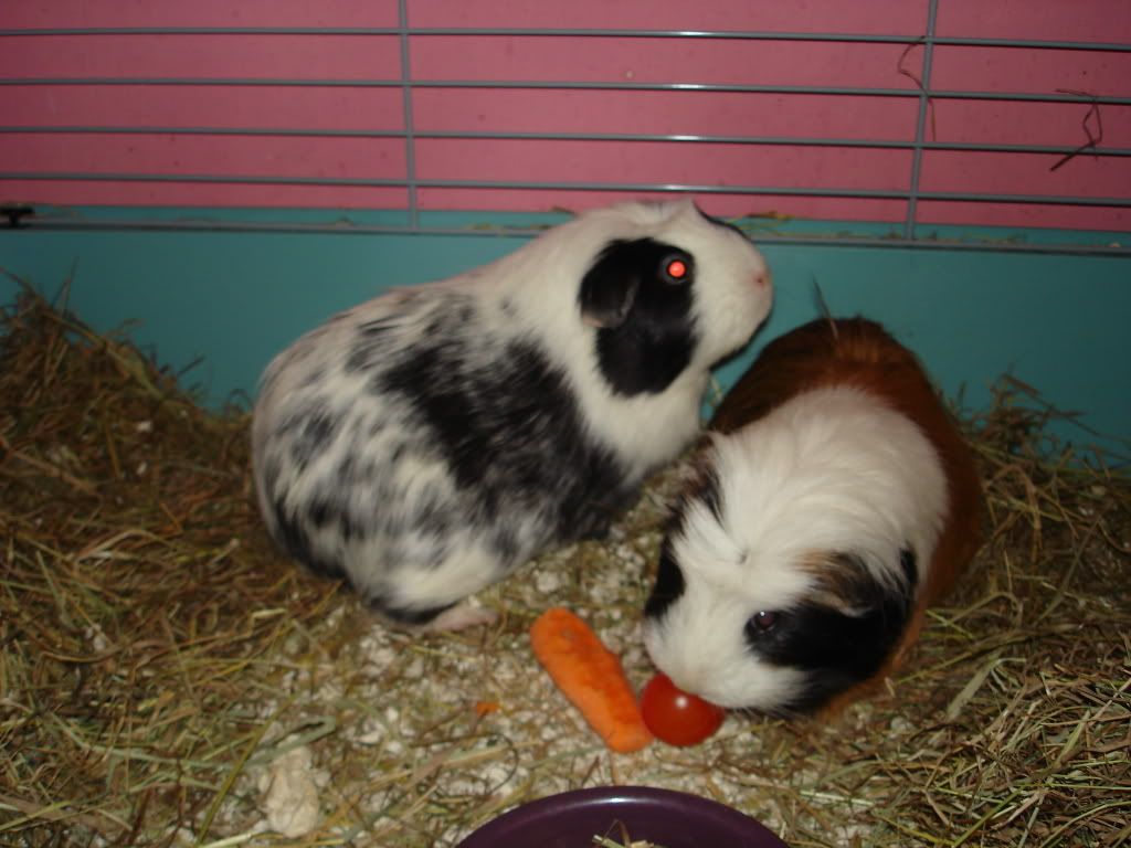 NatureCentre018.jpg