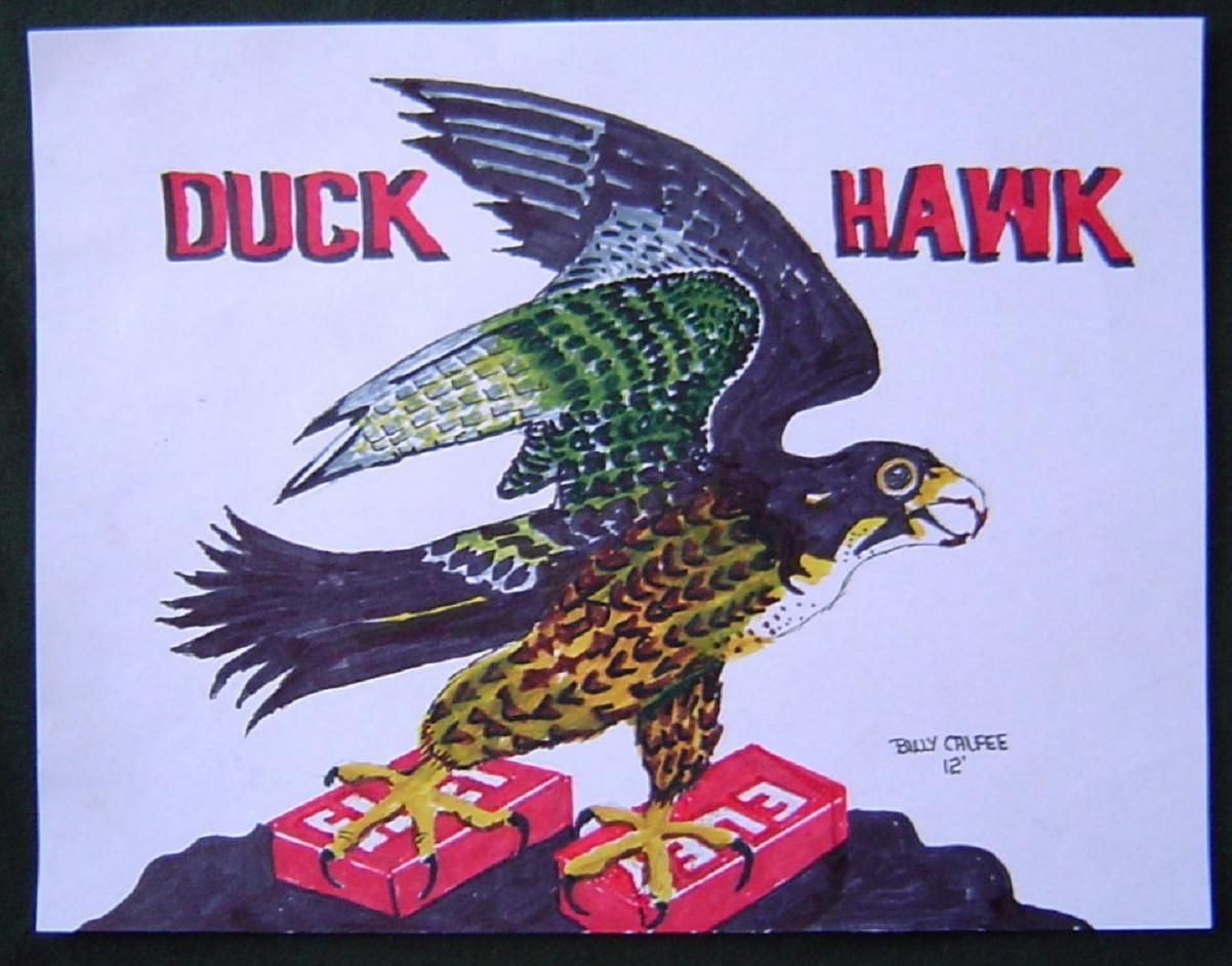 DuckHawk_1.jpg
