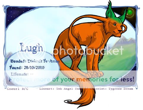 User Image