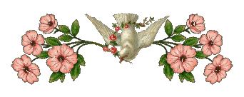defd32ba5e5715e77a495aca490e17df_we.gif