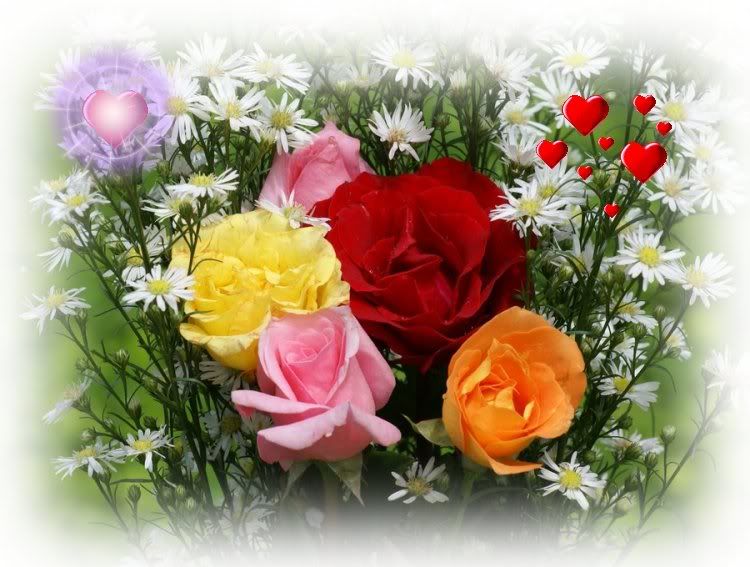 sweet_colorful_roses-dsc02941-a20.jpg