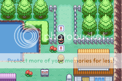 [PokeCommunity.com] Pokémon Genesis